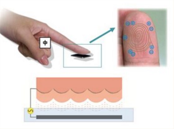 鼠标指纹传感器联合低频X3晶振提高个人办公安全性